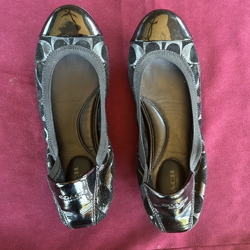 Coach Women's Black Wenda Ballet Shoes